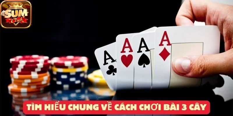 Tìm hiểu chung về cách chơi Bài 3 Cây SUMCLUB